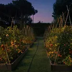 מלון Hermitage & Dei Marmi - Starhotels Collezione