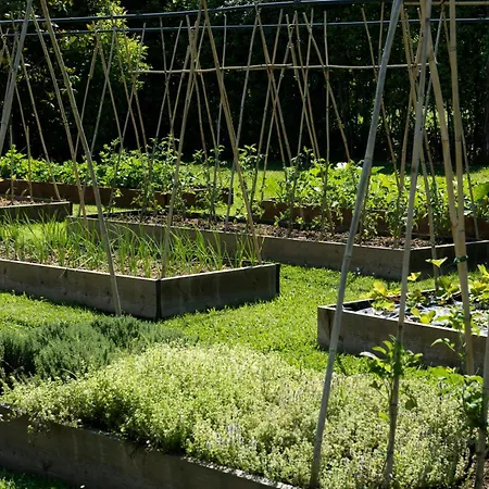 Hermitage & Dei Marmi - Starhotels Collezione