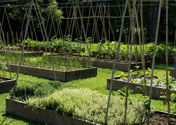 Hermitage & Dei Marmi - Starhotels Collezione