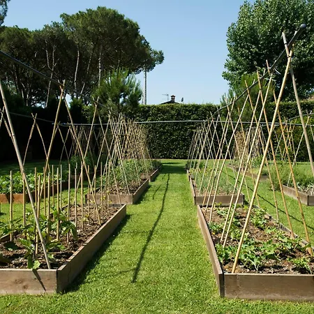 Hermitage & Dei Marmi - Starhotels Collezione Otel Forte dei Marmi