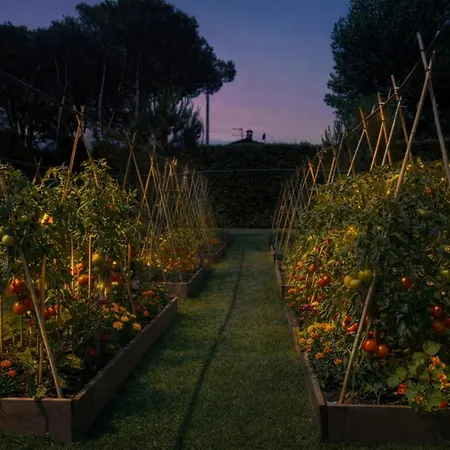 Hotel Hermitage & Dei Marmi - Starhotels Collezione