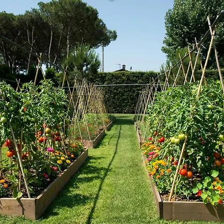 Hermitage & Dei Marmi - Starhotels Collezione