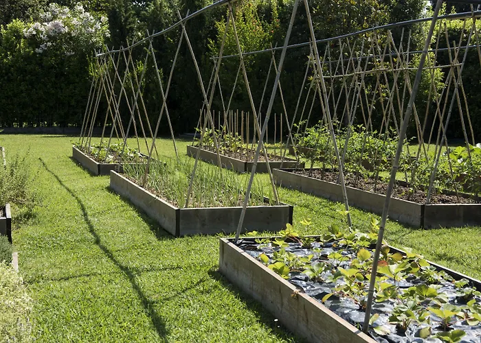 Hermitage & Dei Marmi - Starhotels Collezione Otel Forte dei Marmi