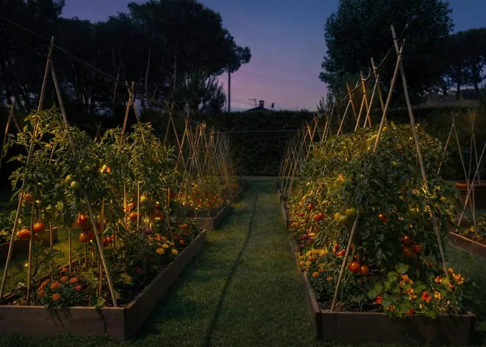 Otel Hermitage & Dei Marmi - Starhotels Collezione