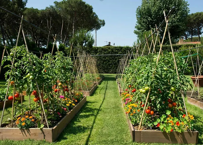 Hermitage & Dei Marmi - Starhotels Collezione